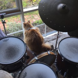 As Miles overlooks his domain from my domain